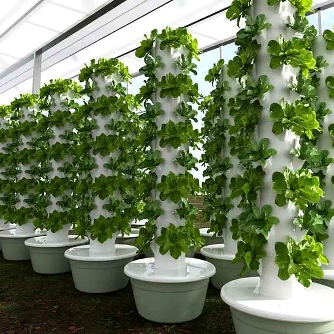 Aeroponic tower farm growing leafy greens in a controlled environment