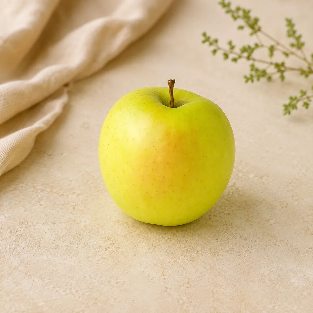 Freeze-dried Apple