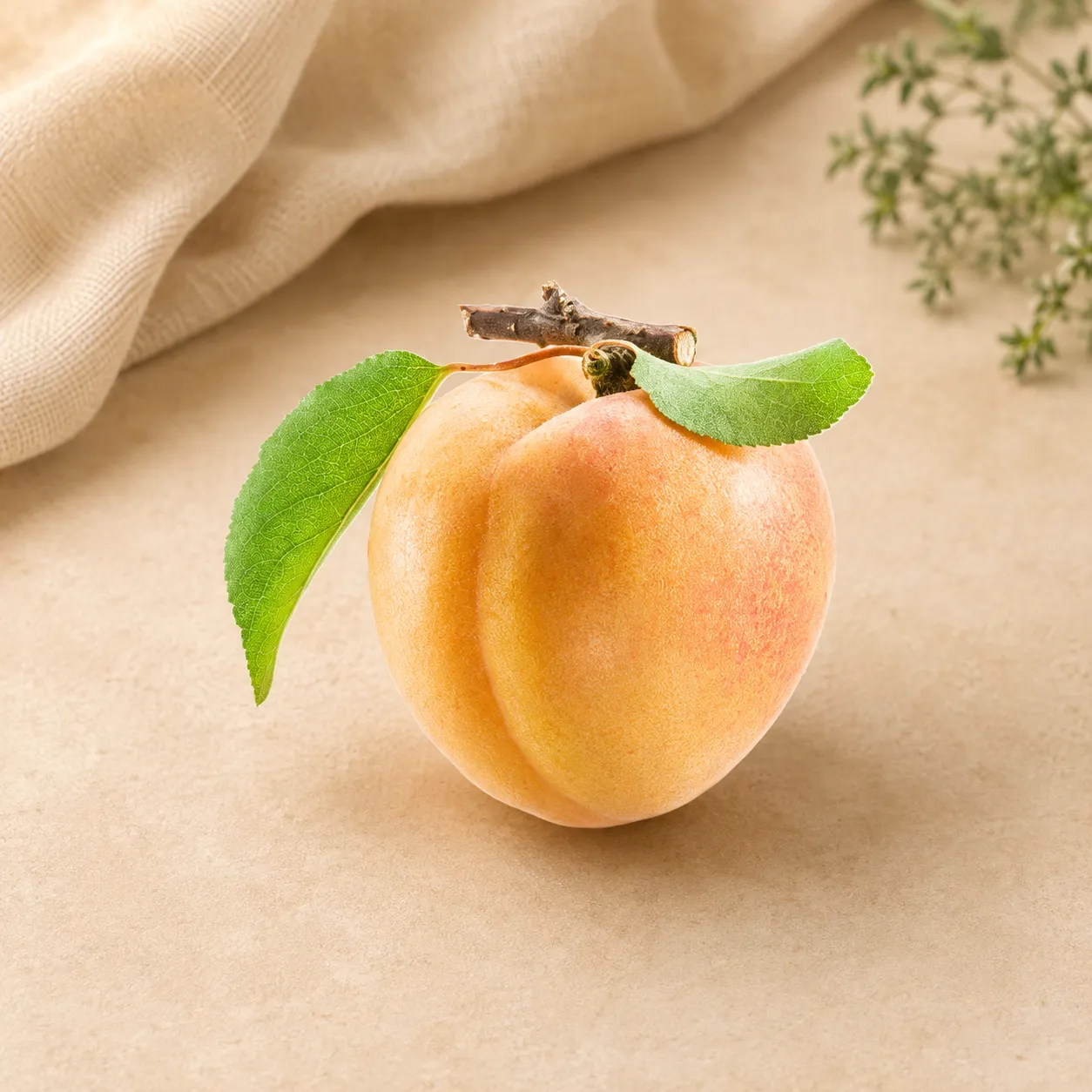 Freeze-dried Apricot